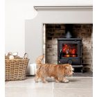 AGA Ludlow EC5W Wide Balanced Flue Gas Stove