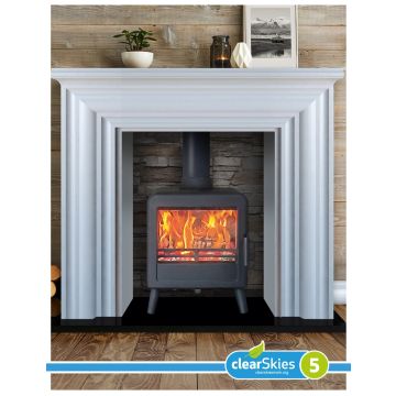 Ekol Bug Multi Fuel / Wood Burning Stove