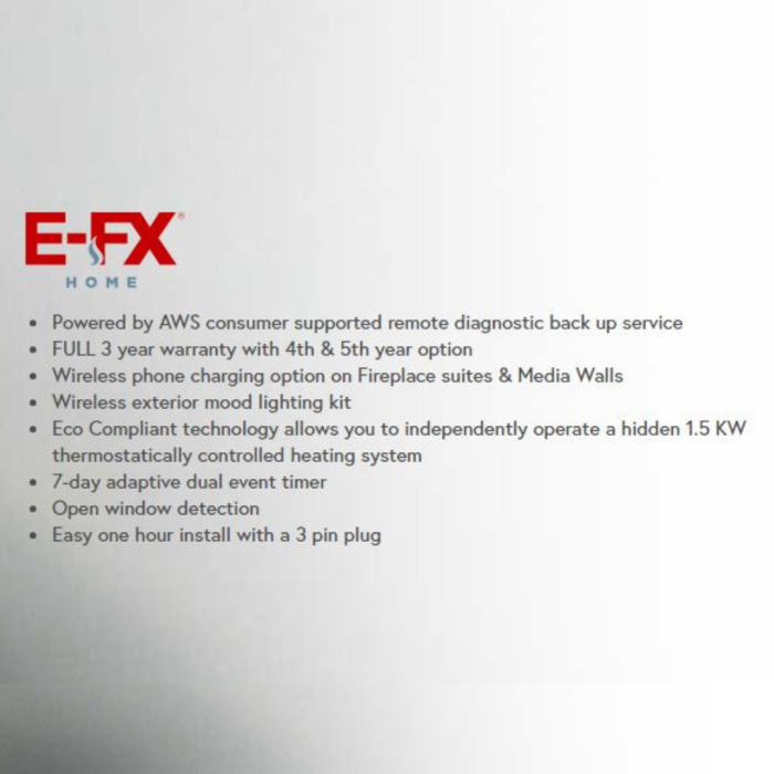 Flamerite E-FX 1000
