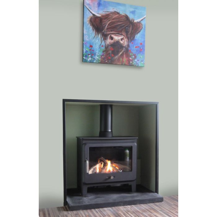 Ekol Clarity Gas Stove