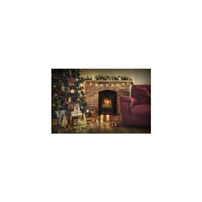 Saltfire Peanut 5 Eco Design Woodburning Stove